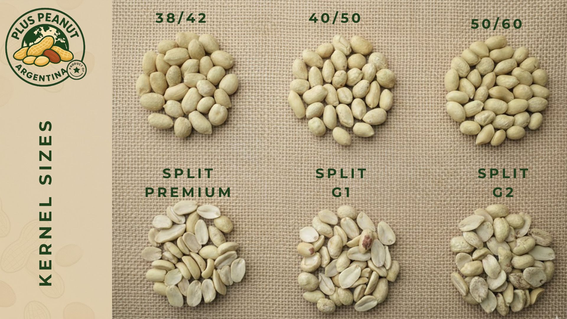 Plus Peanut Blanched